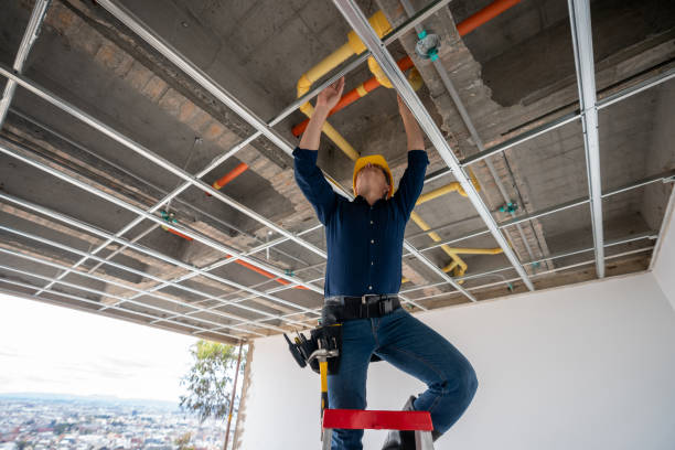 Best Plumbing Inspection Services  in Wellman, IA