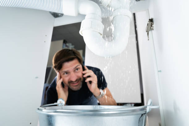 Best Drain Cleaning Services  in Wellman, IA