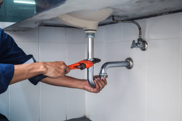 Best Emergency Plumber  in Wellman, IA