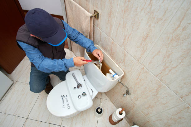 Best Local Plumber Services  in Wellman, IA