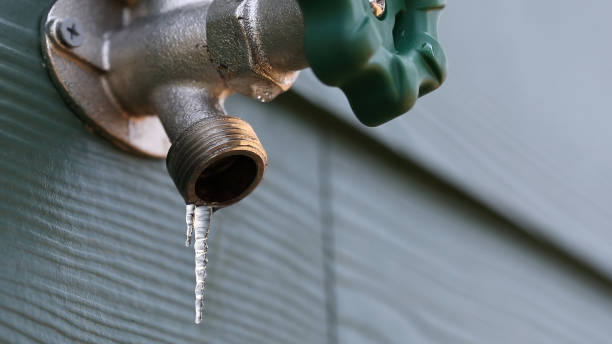 Best Water Heater Repair  in Wellman, IA