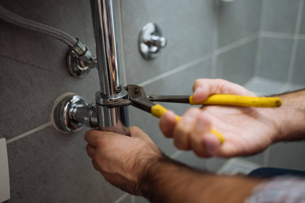 Best Clogged Drain Plumber  in Wellman, IA